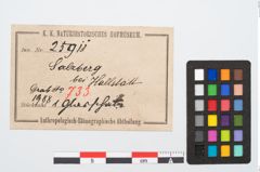 Etikett zu Glasrippenschale (NHMW-PRAE-025911)